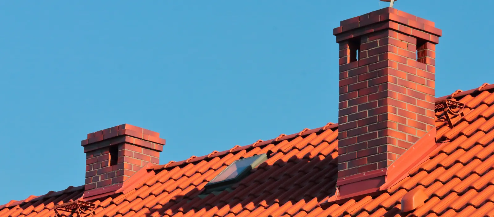 We Devoted to Our Work